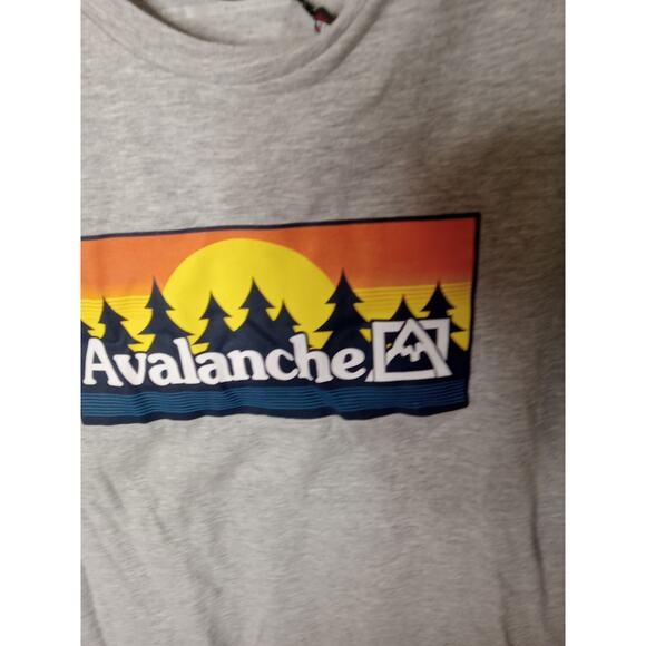 Avalanche Outdoor Supply Co Mens Sz Sm Short Sleeve T-Shirt Gray Soft.Athleisure - Picture 4 of 8